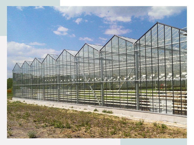 Строительство теплиц в Мурманск от 617 руб. за м²